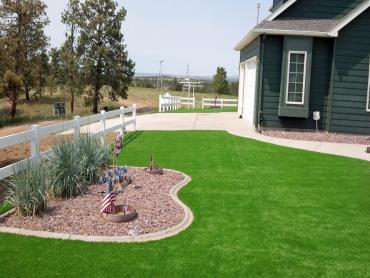 Artificial Grass Photos: Fake Turf Marblemount, Washington Landscape Design, Front Yard Ideas