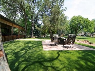 Artificial Grass Photos: Fake Turf Martha Lake, Washington Lawns, Backyard Landscape Ideas