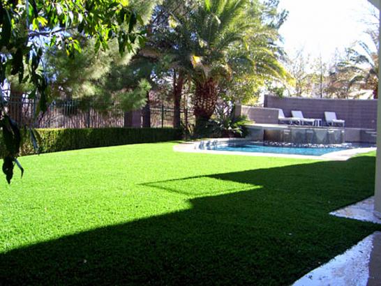 Artificial Grass Photos: Fake Turf Mountlake Terrace, Washington Landscaping Business, Backyards