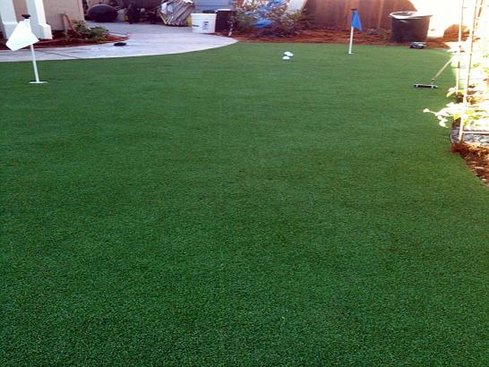 Artificial Grass Photos: Fake Turf Renton, Washington Roof Top, Backyard Design