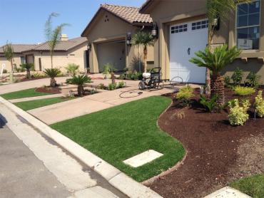 Artificial Grass Photos: Fake Turf Startup, Washington Landscape Ideas, Front Yard Design