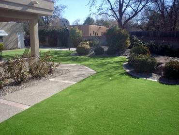 Artificial Grass Photos: Fake Turf Tracyton, Washington Roof Top, Front Yard Landscape Ideas