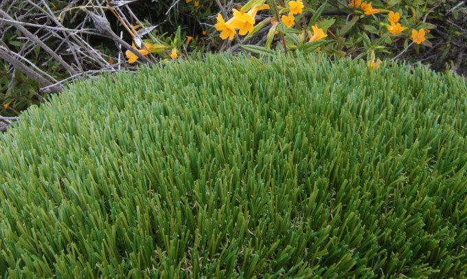 V Blade-64 syntheticgrass