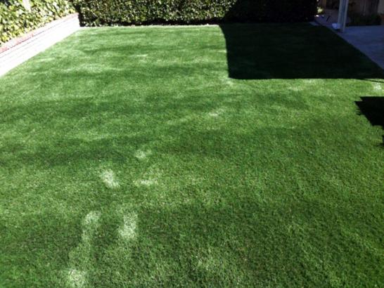 Artificial Grass Photos: Faux Grass Benton City, Washington Landscape Photos, Backyard Landscape Ideas