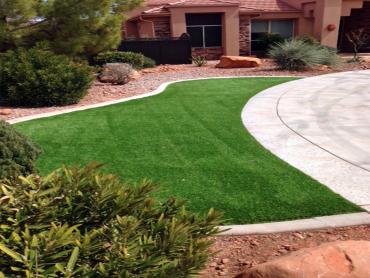 Artificial Grass Photos: Faux Grass Blyn, Washington Design Ideas, Front Yard Landscaping