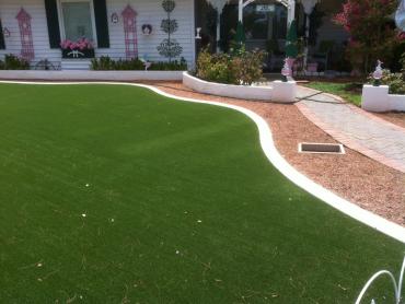 Artificial Grass Photos: Faux Grass Canterwood, Washington Landscape Photos, Front Yard Landscaping Ideas