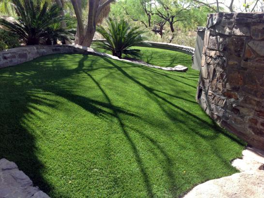 Artificial Grass Photos: Faux Grass Goldendale, Washington Dog Running