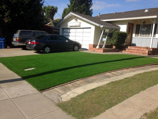 Artificial Grass Photos: Faux Grass Mabton, Washington Lawns, Small Front Yard Landscaping