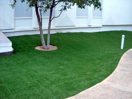 Artificial Grass Photos: Faux Grass Mesa, Washington Lawn And Landscape, Commercial Landscape