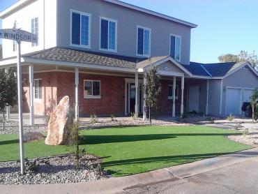 Artificial Grass Photos: Faux Grass Mountlake Terrace, Washington Lawns, Front Yard Ideas