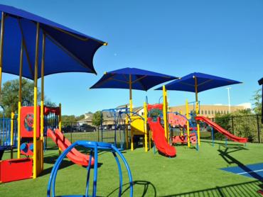 Artificial Grass Photos: Faux Grass Mukilteo, Washington Indoor Playground, Recreational Areas