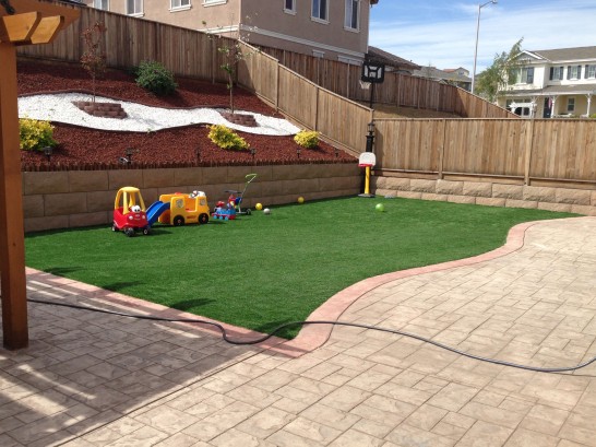 Artificial Grass Photos: Faux Grass Porter, Washington Indoor Playground, Backyard Makeover