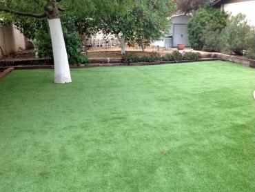 Artificial Grass Photos: Faux Grass Selah, Washington Backyard Playground, Backyard Ideas