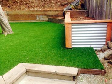 Artificial Grass Photos: Faux Grass South Bend, Washington Landscaping, Backyard Landscaping Ideas