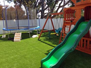 Artificial Grass Photos: Faux Grass Tampico, Washington Playground Flooring, Small Backyard Ideas