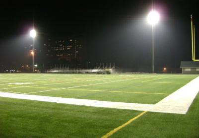 Artificial Grass Photos: Faux Grass Wauna, Washington Soccer Fields