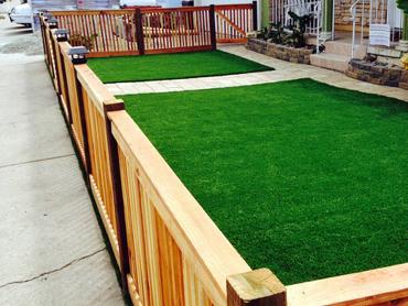 Artificial Grass Photos: Grass Carpet Bay Center, Washington Lawn And Garden, Front Yard Landscape Ideas