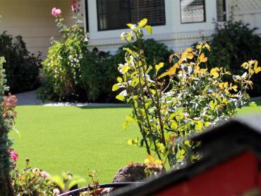 Artificial Grass Photos: Grass Carpet Bridgeport, Washington Backyard Deck Ideas, Front Yard Landscape Ideas