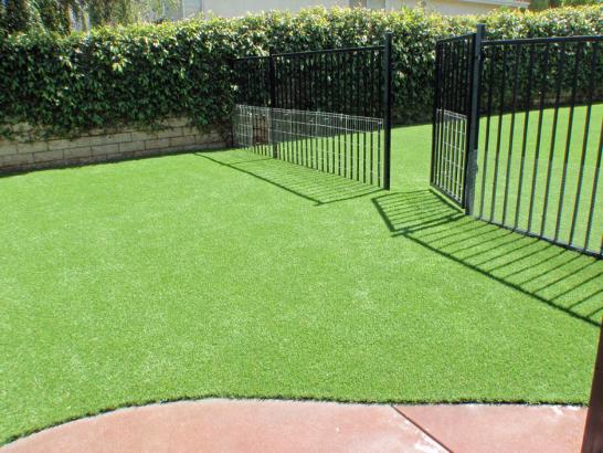 Artificial Grass Photos: Grass Carpet Lake Bosworth, Washington Lawn And Landscape, Front Yard Design