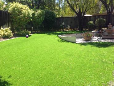 Grass Carpet Lakeland South, Washington Backyard Deck Ideas, Backyard artificial grass