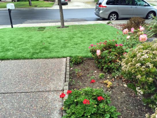 Artificial Grass Photos: Grass Carpet Lakeland South, Washington Design Ideas, Front Yard