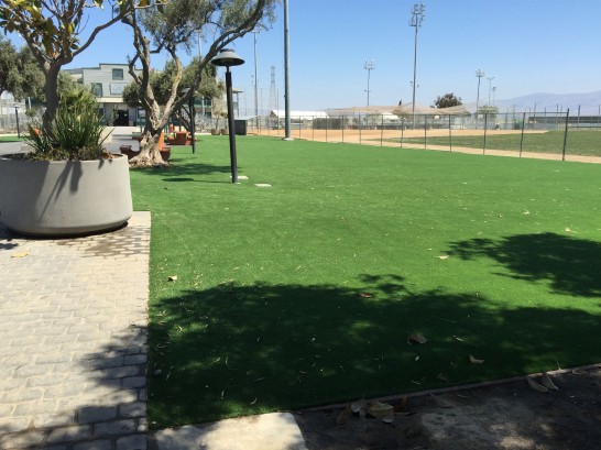 Artificial Grass Photos: Grass Carpet Onalaska, Washington Backyard Deck Ideas, Parks