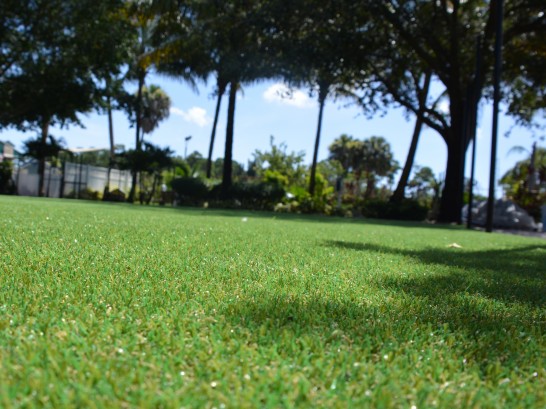 Artificial Grass Photos: Grass Carpet Port Angeles, Washington Rooftop, Parks