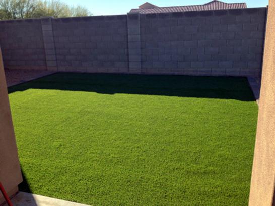 Artificial Grass Photos: Grass Carpet Port Ludlow, Washington Lawn And Garden, Beautiful Backyards