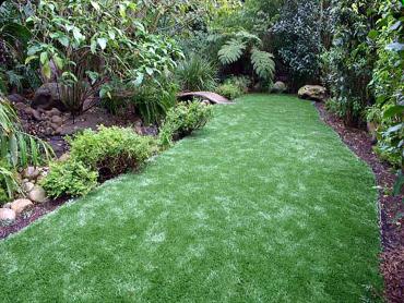 Artificial Grass Photos: Grass Carpet Rock Island, Washington Lawn And Garden, Backyard Ideas