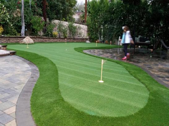 Artificial Grass Photos: Grass Carpet Rocky Point, Washington Landscaping Business, Beautiful Backyards