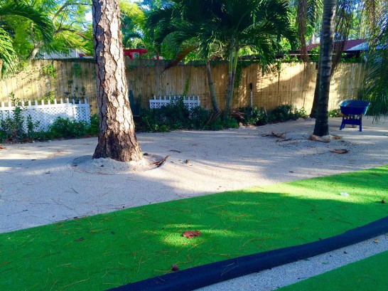 Artificial Grass Photos: Grass Carpet Ronald, Washington Lawn And Garden, Recreational Areas