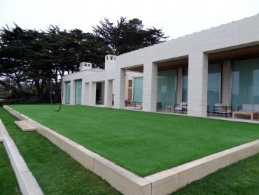 Artificial Grass Photos: Grass Carpet Ryderwood, Washington Landscape Ideas, Commercial Landscape