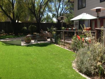 Artificial Grass Photos: Grass Carpet Spanaway, Washington Backyard Playground, Backyard Landscaping Ideas