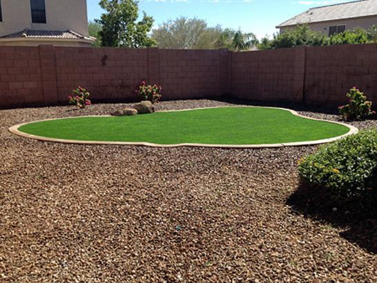 Artificial Grass Photos: Grass Carpet Waller, Washington Lawns, Backyard Landscaping