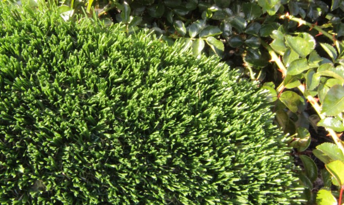 Hollow Blade-73 syntheticgrass Artificial Grass Seattle, Washington