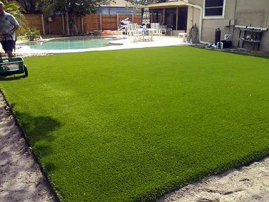 Artificial Grass Photos: Grass Installation Bryant, Washington Lawn And Garden, Backyard Landscape Ideas