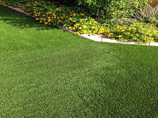 Artificial Grass Photos: Grass Installation Hunts Point, Washington Backyard Playground, Front Yard Landscaping Ideas