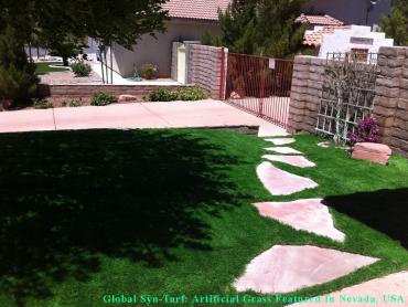 Grass Turf Burien, Washington Pictures Of Dogs, Front Yard Landscaping Ideas artificial grass