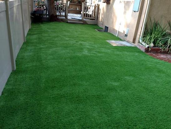 Artificial Grass Photos: Grass Turf Burley, Washington Backyard Playground, Backyard Ideas