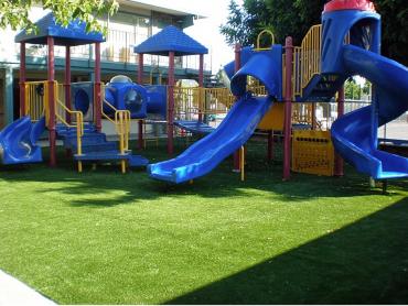 Artificial Grass Photos: Grass Turf Cathlamet, Washington Lawn And Garden, Commercial Landscape