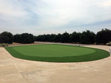 Artificial Grass Photos: Grass Turf Entiat, Washington Paver Patio, Front Yard Design