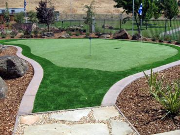 Artificial Grass Photos: Grass Turf Lynden, Washington Putting Green Turf, Backyard Design