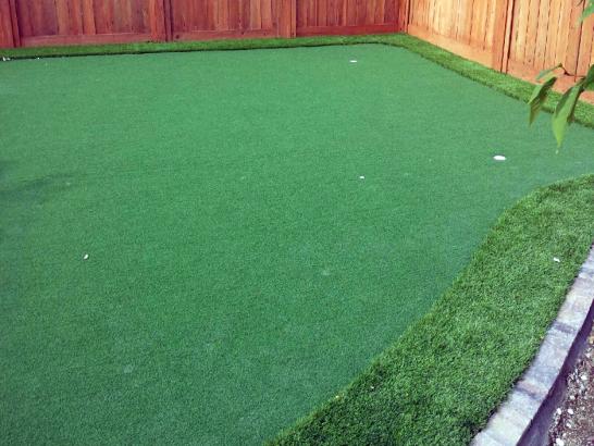 Artificial Grass Photos: Grass Turf Meadowdale, Washington Putting Green, Backyard Landscaping Ideas