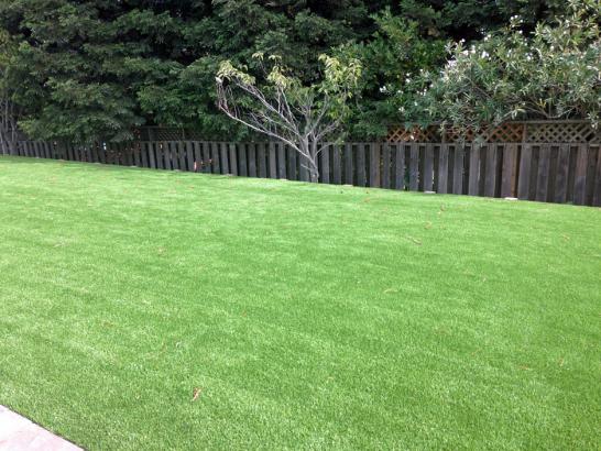 Artificial Grass Photos: Grass Turf Outlook, Washington Landscape Ideas, Backyard Landscape Ideas