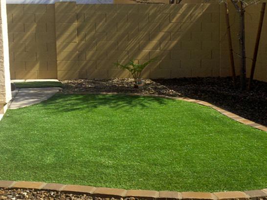 Artificial Grass Photos: Grass Turf Purdy, Washington Garden Ideas, Backyard