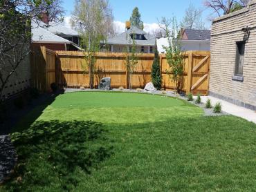 Artificial Grass Photos: Grass Turf Ravensdale, Washington Landscape Photos, Backyard Ideas