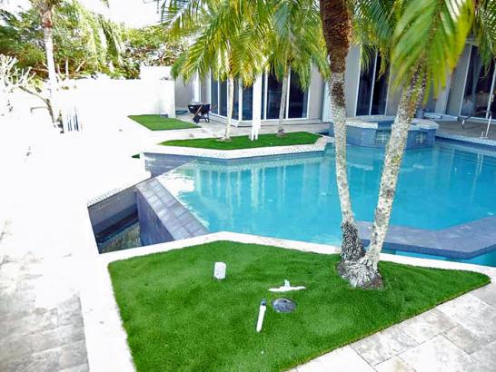 Artificial Grass Photos: Grass Turf University Place, Washington Rooftop, Backyard Landscaping Ideas