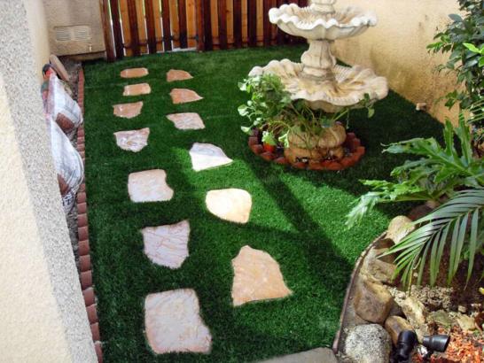 Artificial Grass Photos: Grass Turf Weallup Lake, Washington Garden Ideas, Backyard