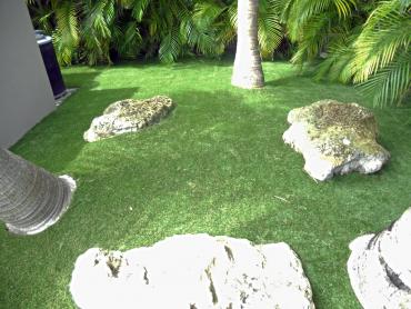 Artificial Grass Photos: Grass Turf Woodway, Washington Landscape Ideas, Backyard Landscaping