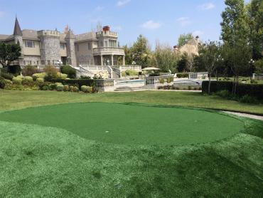 Green Lawn Bothell, Washington City Landscape, Front Yard Design artificial grass